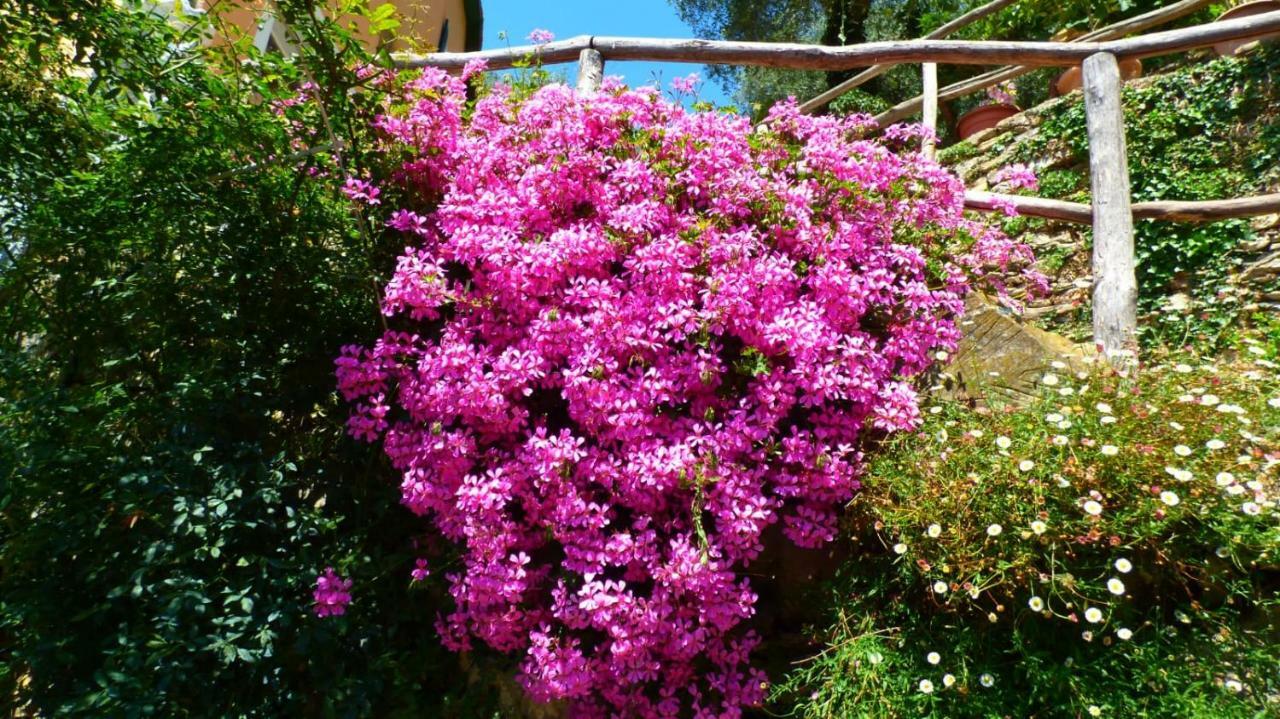 Casa Vacanze Sole Borghetto d'Arroscia ภายนอก รูปภาพ